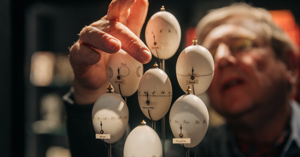 5 Caminhos do Show de Inverno, uma exposição de delícias terrenas