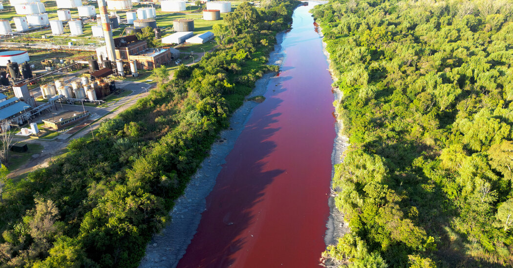Corrente perto de Buenos Aires fica vermelho, ‘como um rio coberto de sangue’