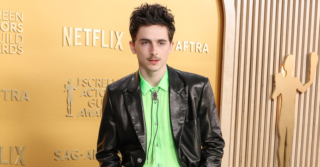 SAG Awards 2025 Tapete Vermelho: Veja todos os looks