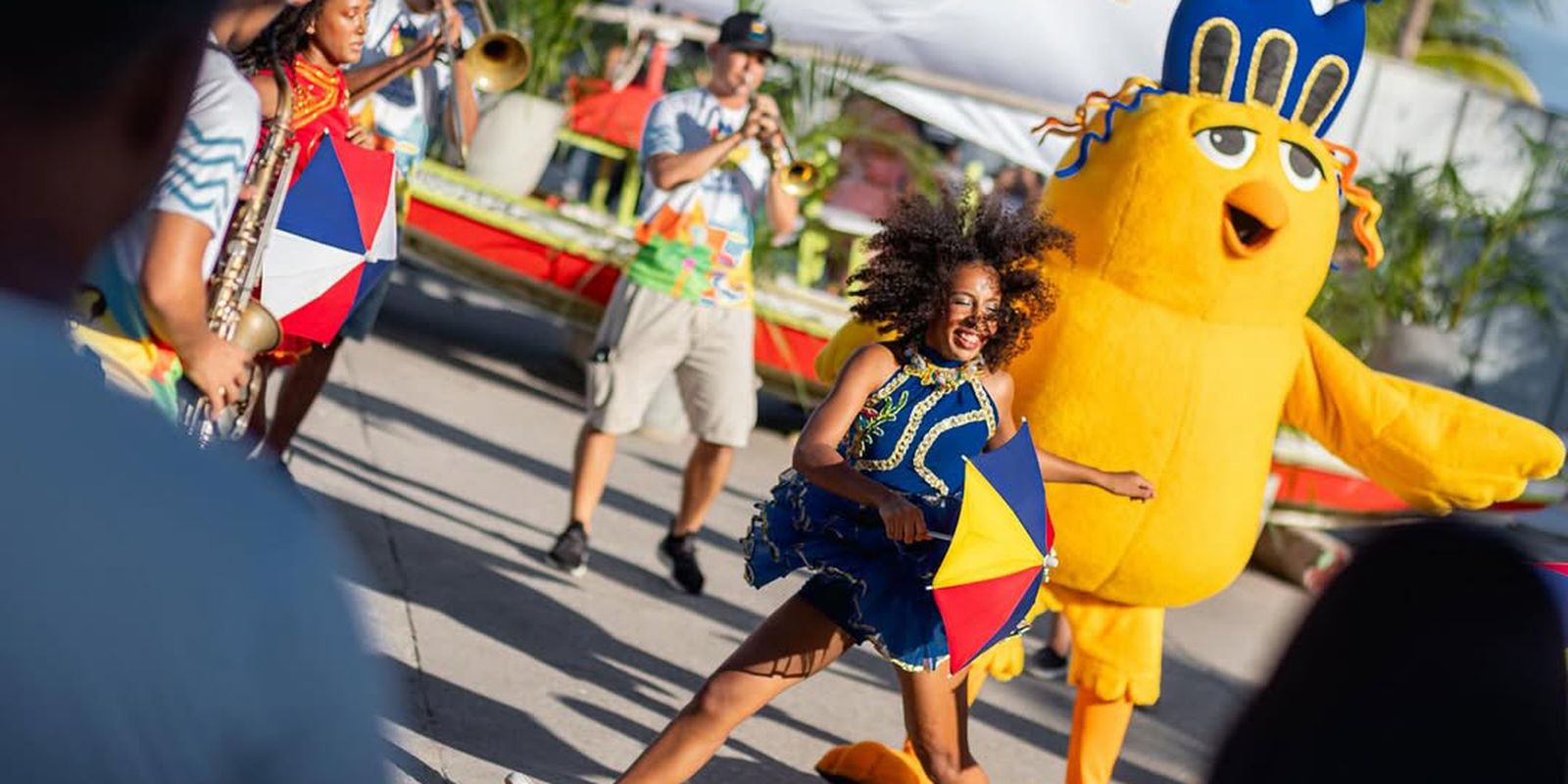Carnaval: Pinto da Madrugada prepara folia nas ruas de Maceió