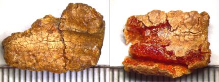 Báltico âmbar contas encontradas na urna de 3.000 anos na Síria-o blog de história