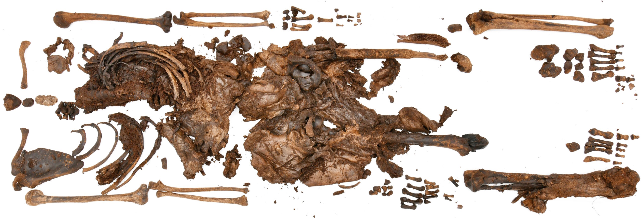 O corpo de pântano é jovem feminino, não adolescente – o blog de história