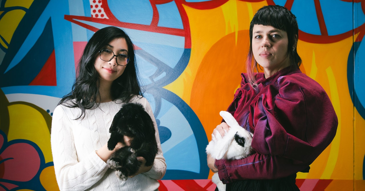 Seu próximo animal de estimação pode ser um coelho brilhante