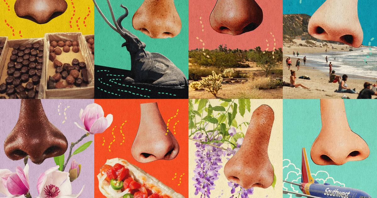 Perguntamos o que melhor representa Los Angeles. Nossos leitores responderam