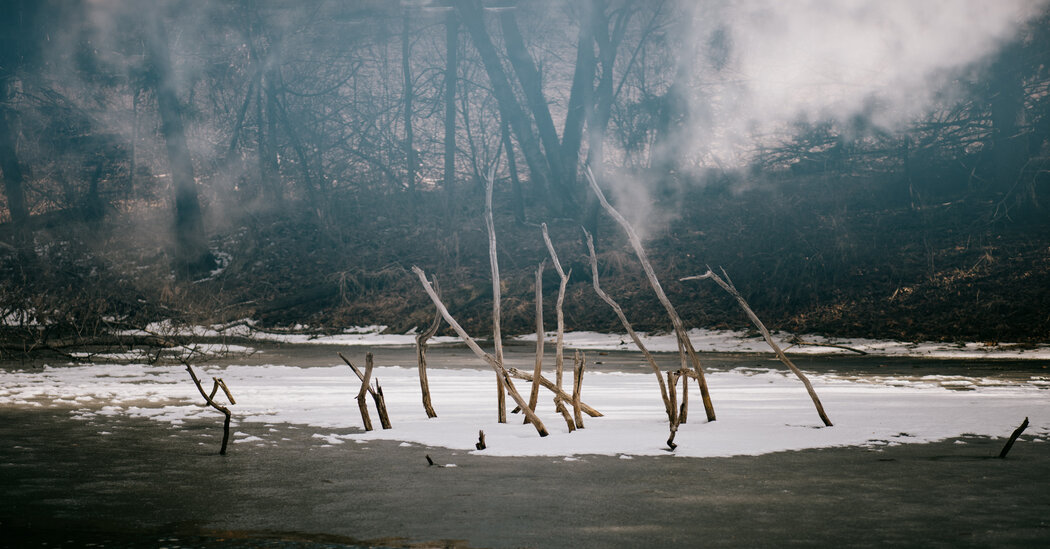 Como planejar um jardim com mudança climática em mente