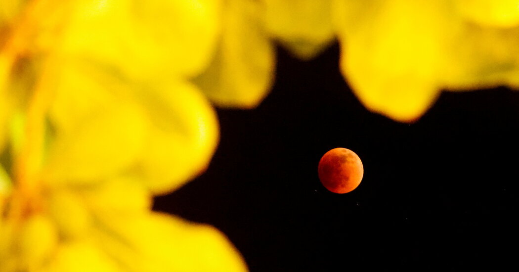 Como assistir o eclipse lunar total da ‘Lua de Sangue’