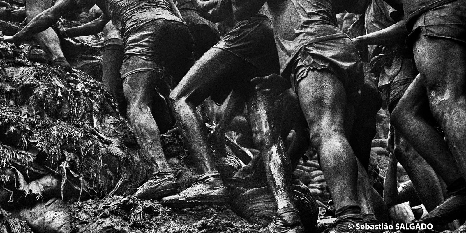 Exposição com fotos de Sebastião Salgado chega a Recife