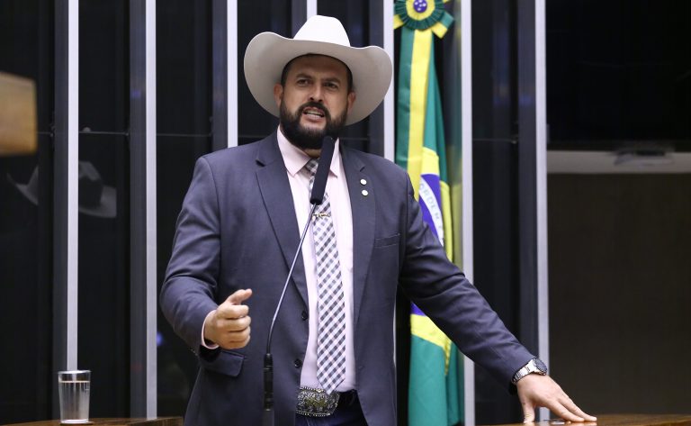 Projeto destina cavalos vítimas de maus-tratos para centros de equoterapia – Notícias