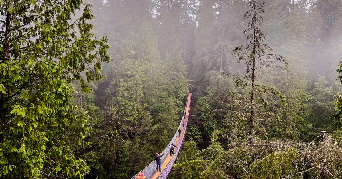 As tarifas de Trump afetarão seus planos de viagem para o México e o Canadá?