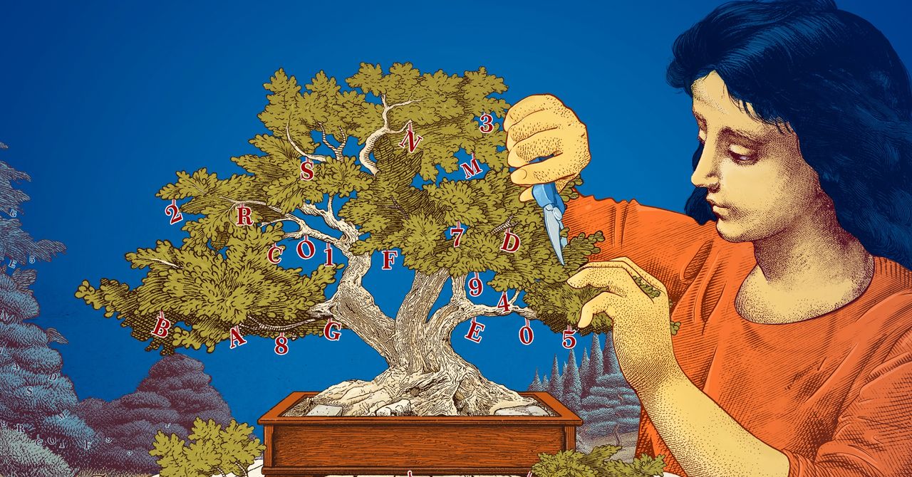 Modelos de idiomas pequenos são a nova raiva, dizem os pesquisadores