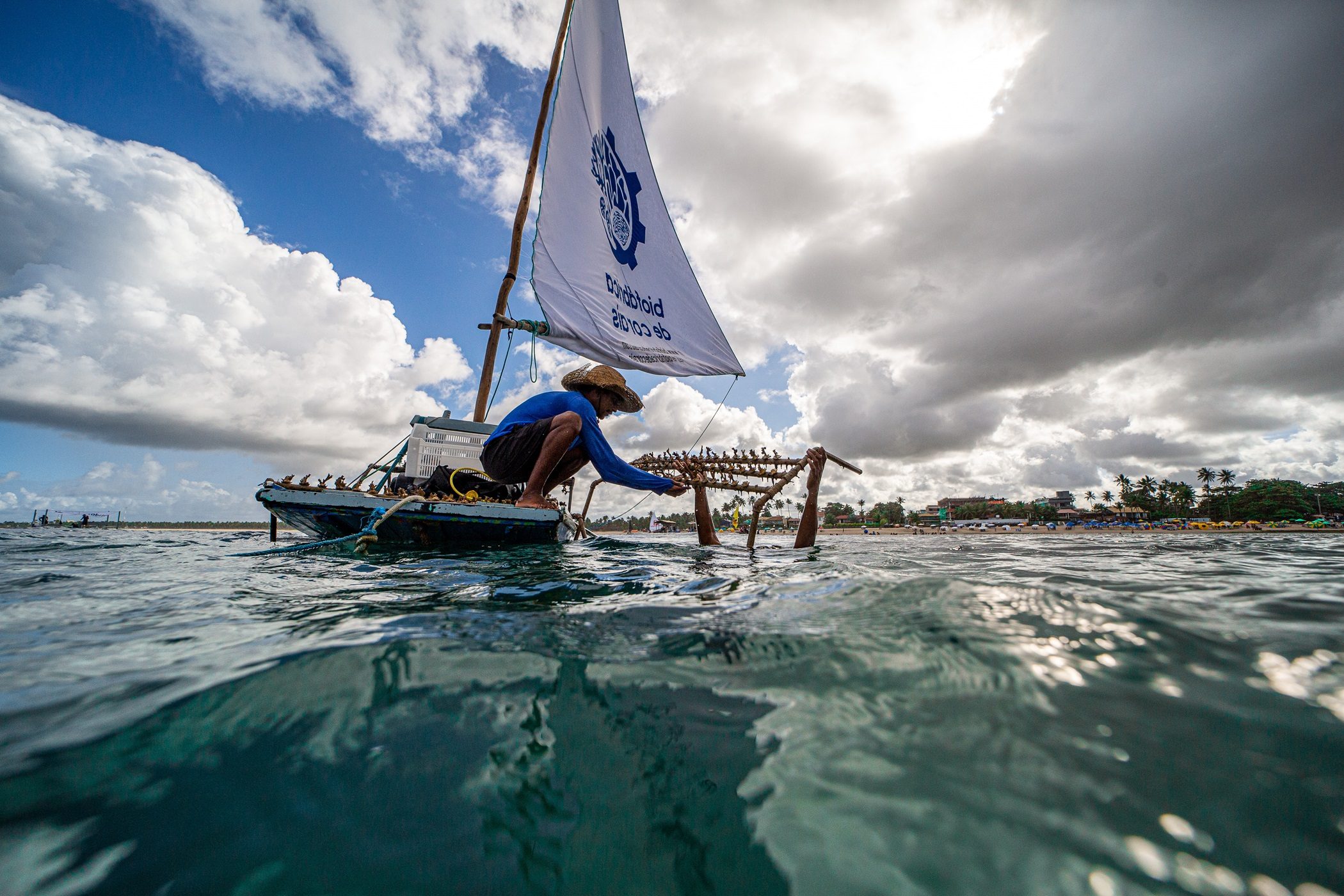 parceria entre Embratur e Prefeitura de Maragogi (AL) promove plantio de 500 corais no oceano