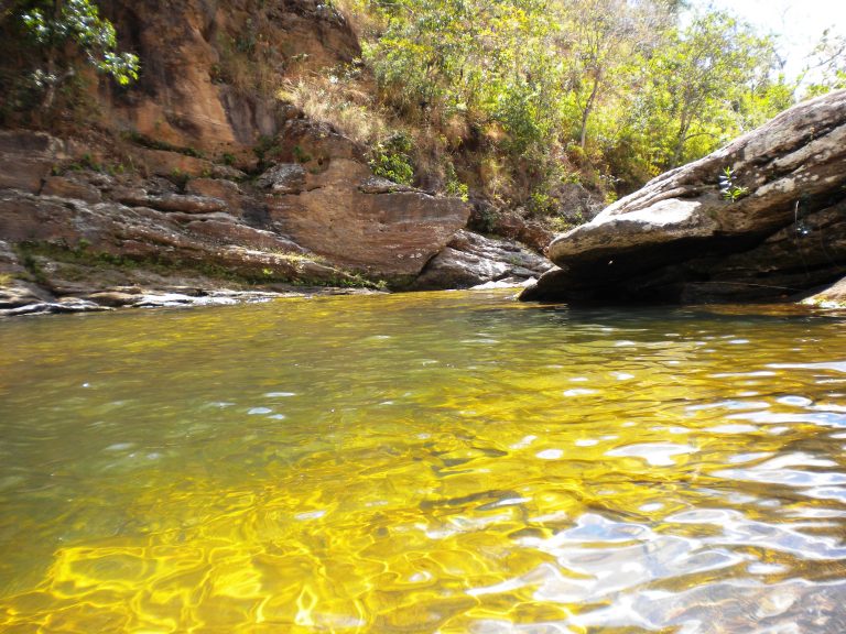 Comissão discute qualidade da água nas bacias da Mata Atlântica – Notícias