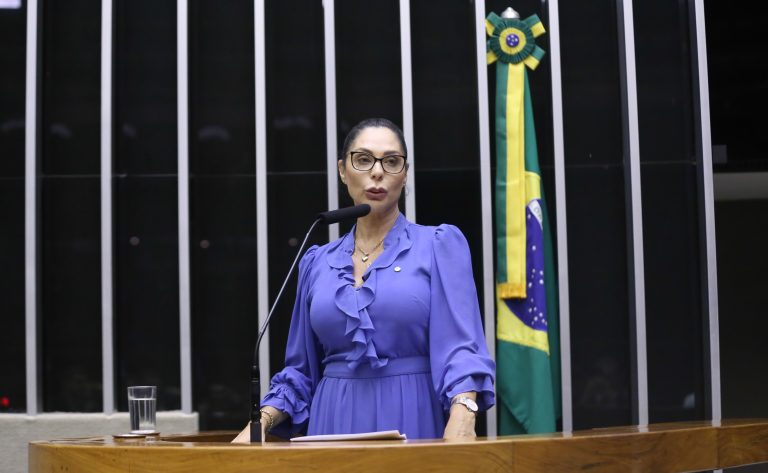 Projeto reduz a área de proteção ambiental da Baleia-Franca, em Santa Catarina – Notícias