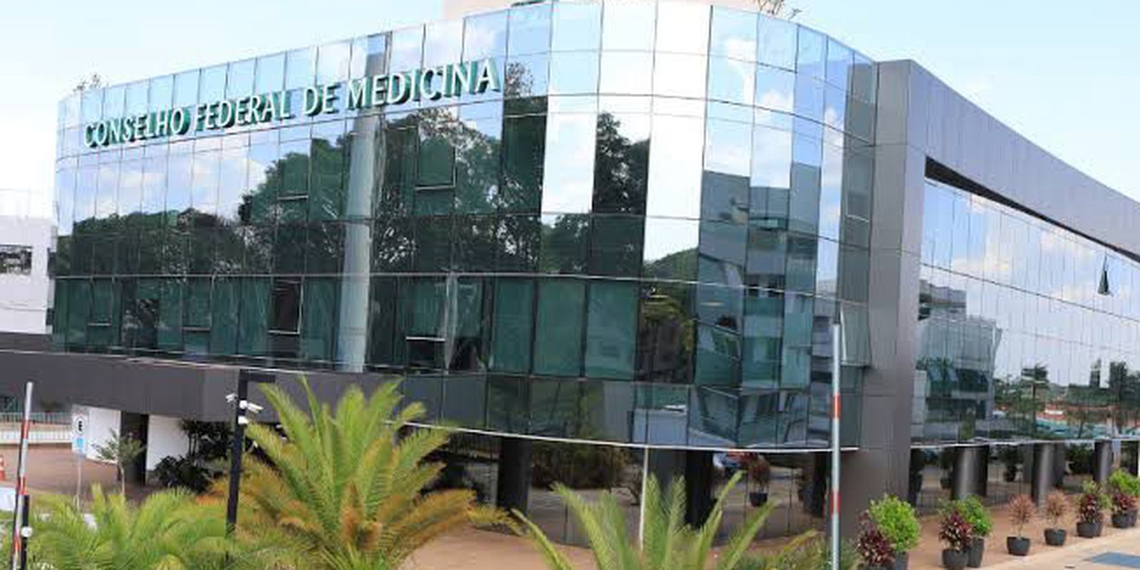 Entidades criticam CFM após veto a terapias para jovens trans