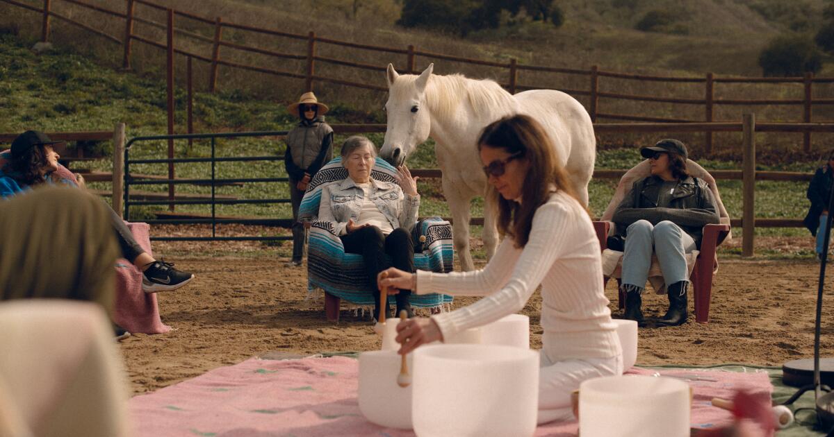 Dentro do rancho de La Ranch, segurando banhos de som para o LA Fire Victims