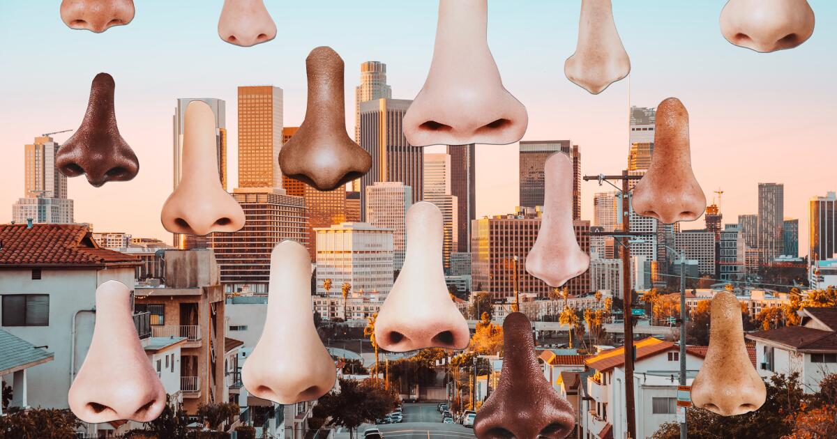 Los Angeles tem muitos aromas. Como LA cheira a você?