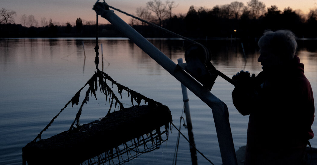 Fertilizante de lodo de esgoto de Maryland? Os virginianos dizem não, obrigado.