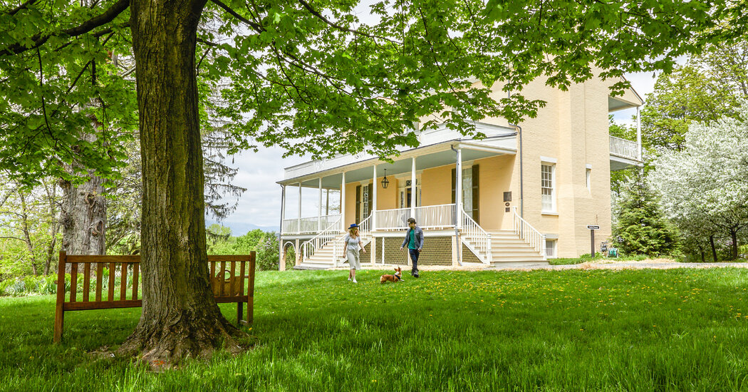 Arte para ver em viagens diárias da cidade de Nova York nesta primavera
