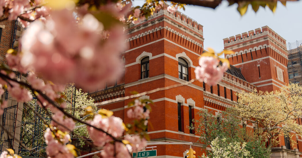 Em Nova York, a arte é abundante em meio à incerteza de mercado