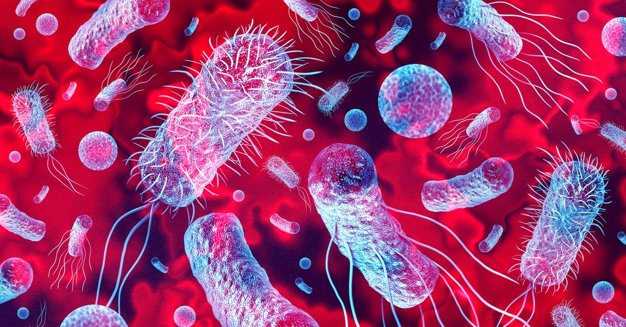 Novas bactérias foram descobertas em uma estação espacial chinesa