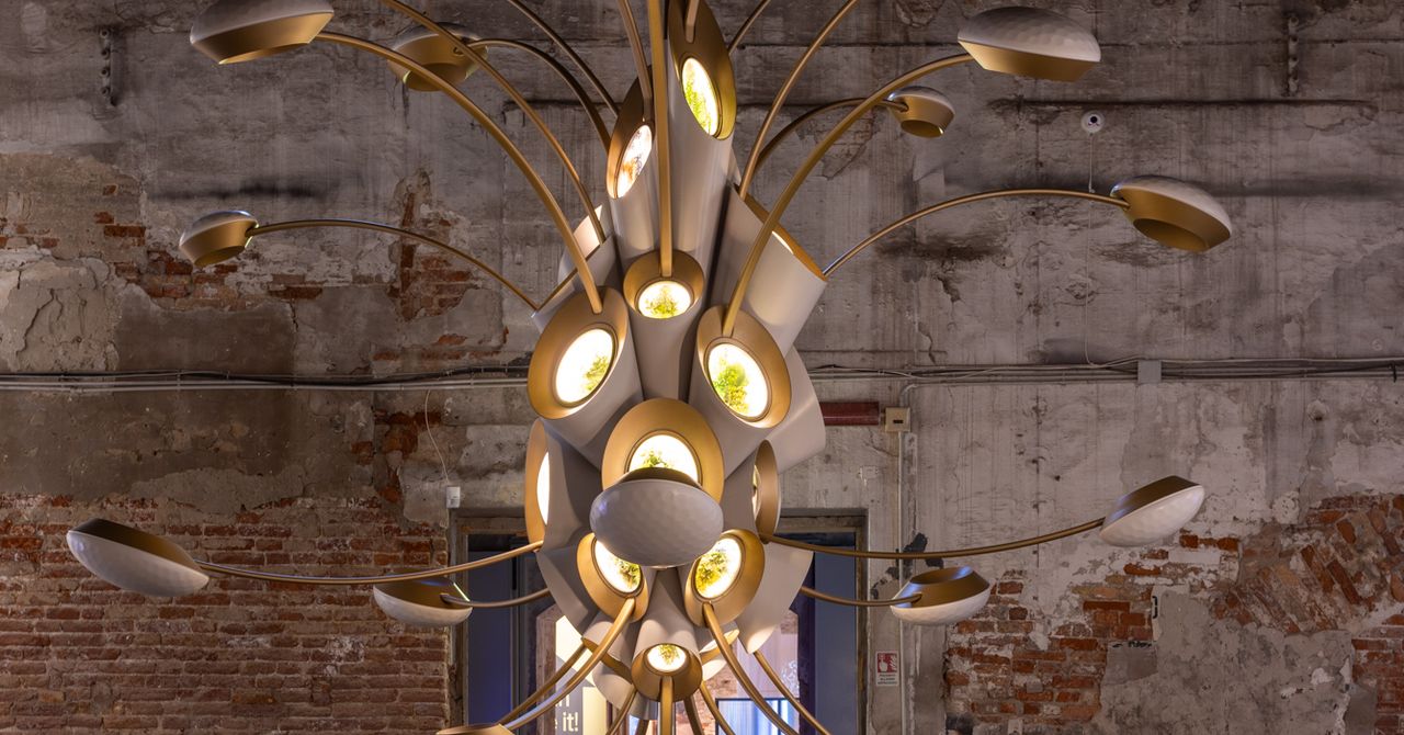 O plano de enviar ‘jardins’ cheios de plantas para a órbita