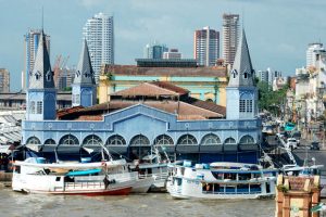 Seminário debate resultado da conferência do clima realizada no Azerbaijão – Notícias