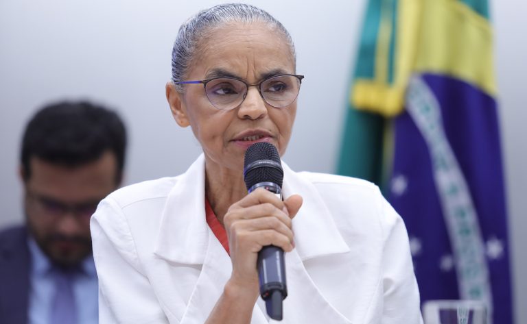 Comissão de Agricultura ouve ministra Marina Silva sobre índice de queimadas e de desmatamento – Notícias