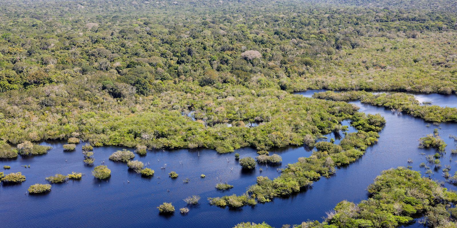 Projeto documenta os ritmos musicais da Amazônia