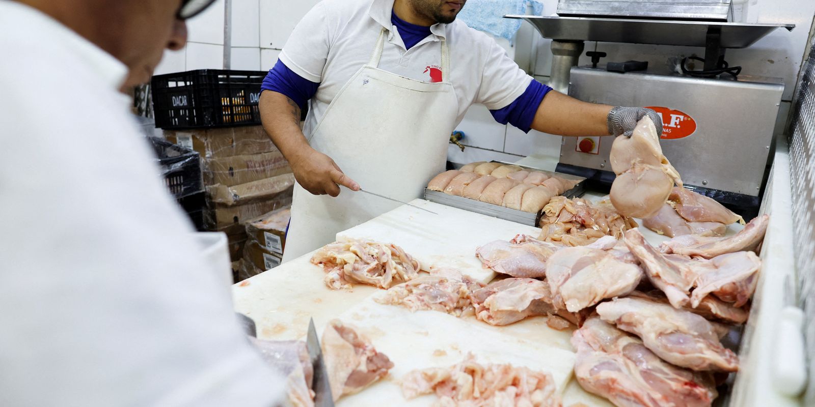 Brasil se declara país livre da gripe aviária