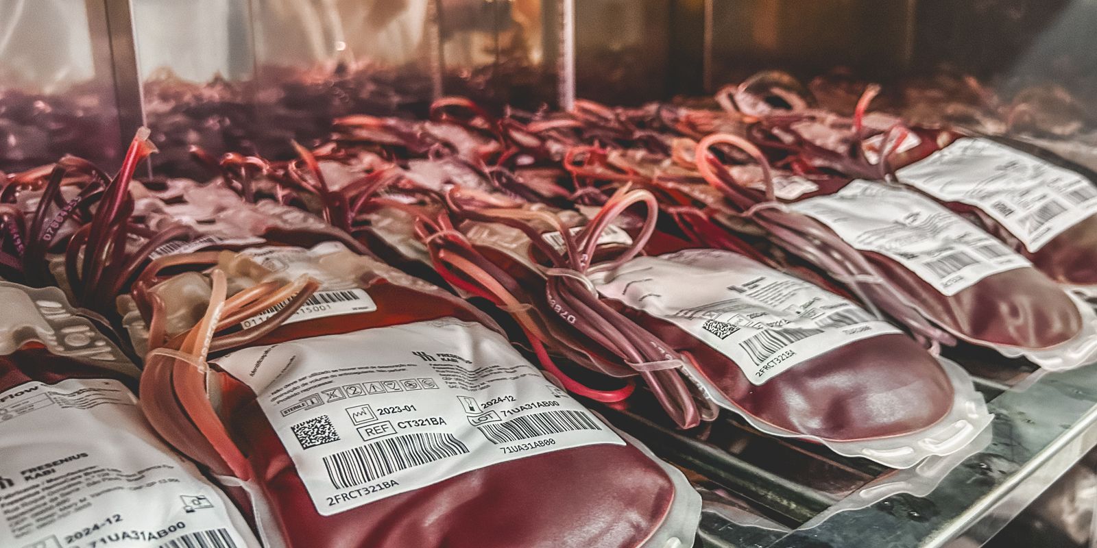 Dia Mundial do Doador de Sangue: uma única doação pode salvar 3 vidas