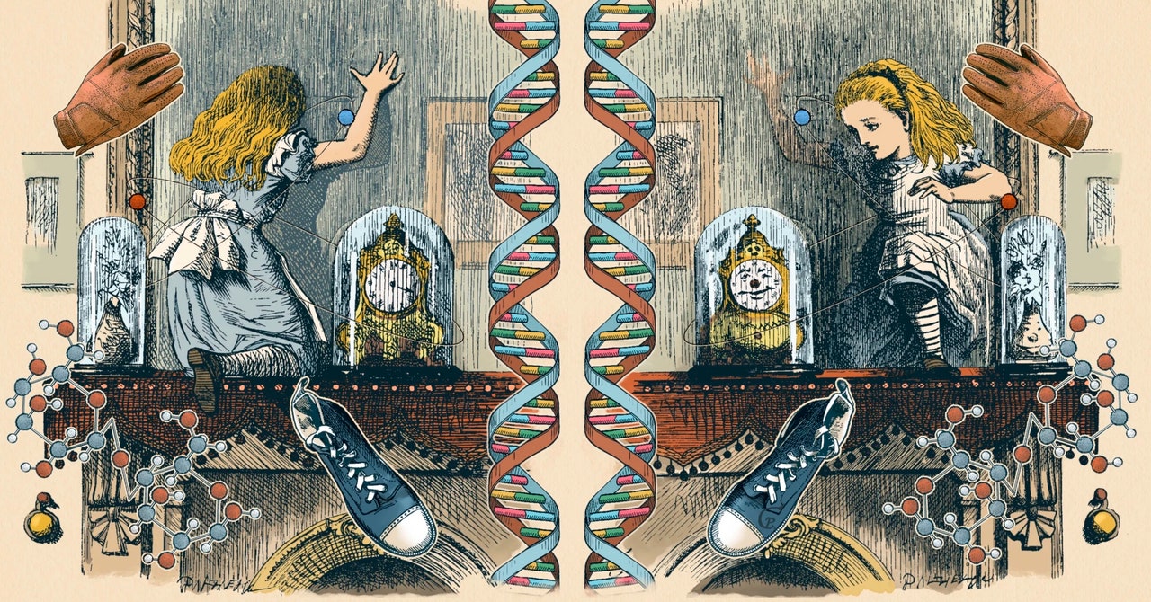 Como o universo e sua versão espelhada são diferentes