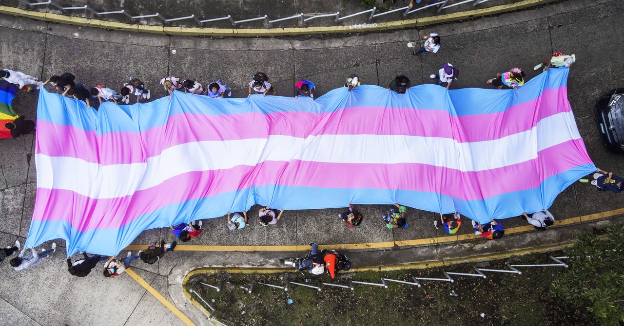 Como defender os direitos trans em sua comunidade