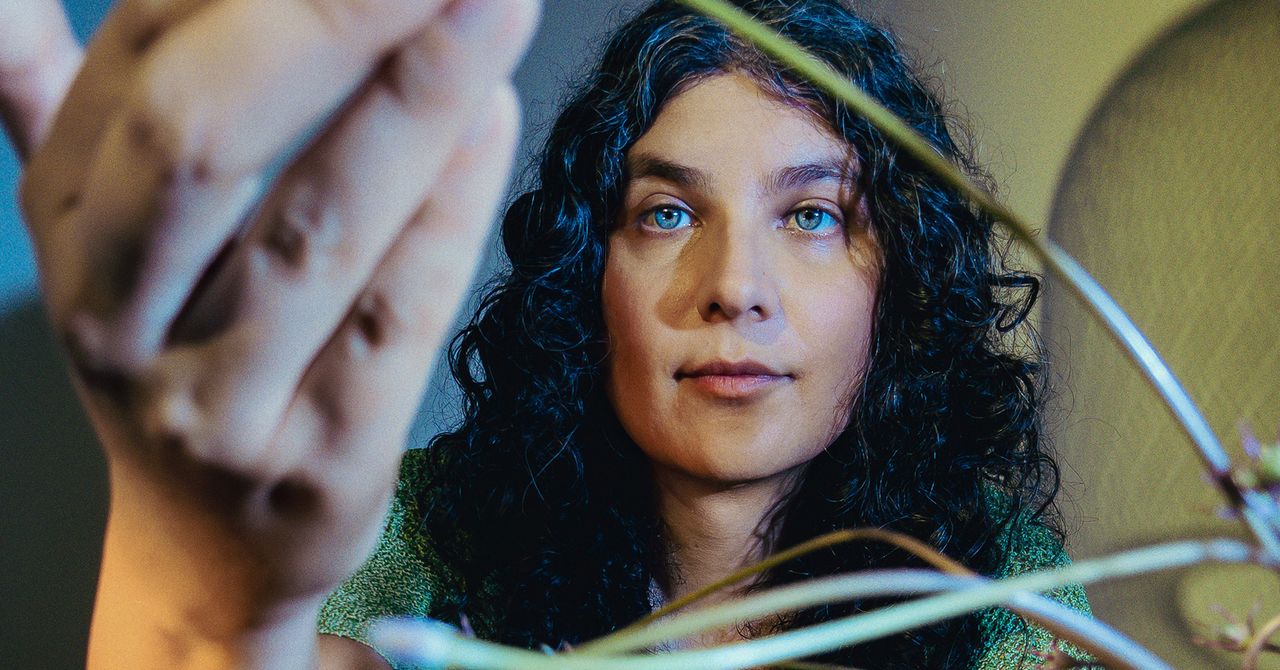 Este historiador viu o futuro dos cuidados de saúde trans