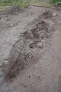 Viking Boat Enterial of Woman With Dog a seus pés encontrados na Noruega – o blog de história