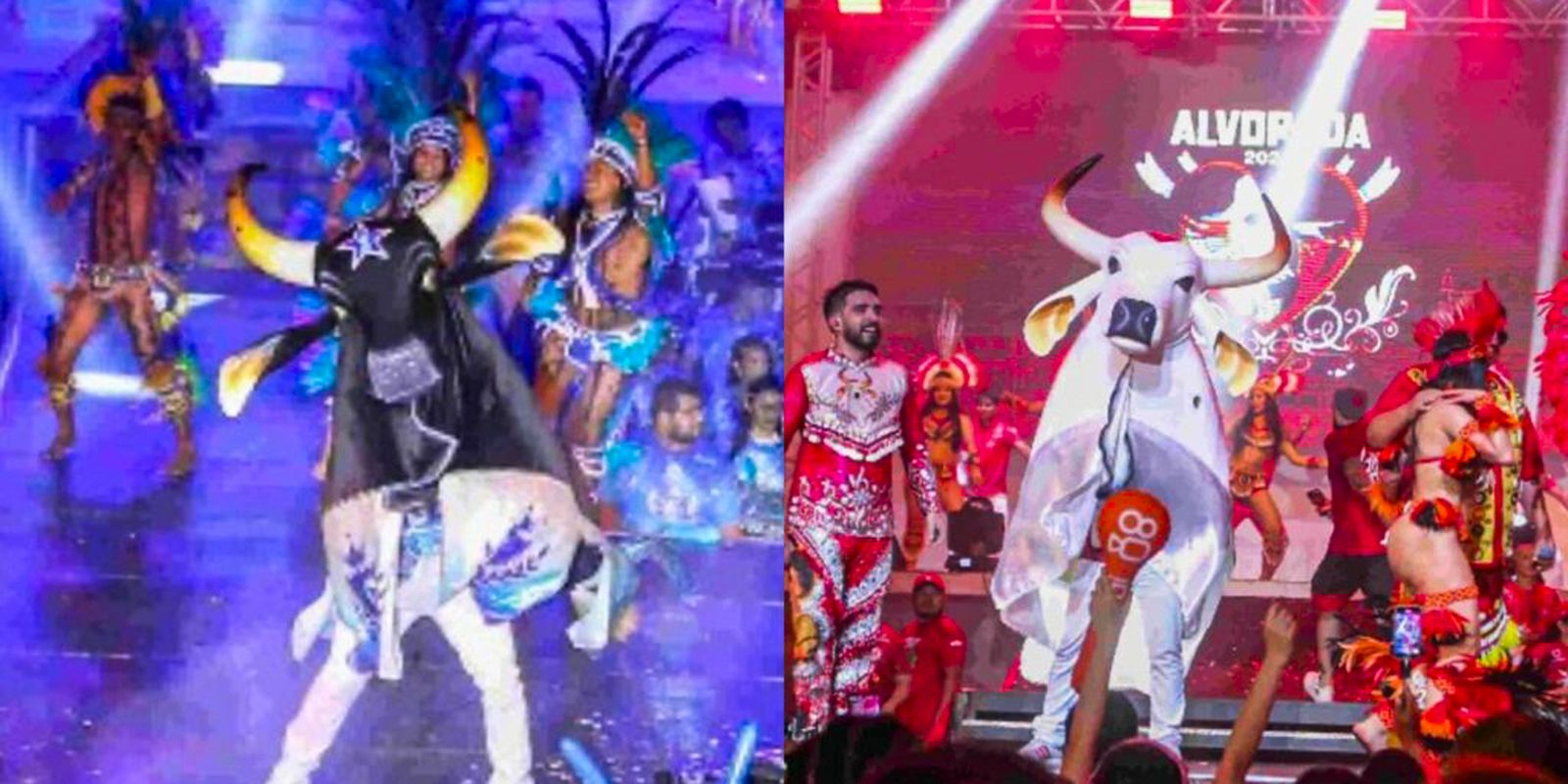 Festival de Parintins conhece vencedor nesta segunda (30)