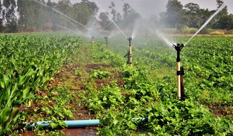 Comissão debate descontos de energia elétrica em atividades de irrigação e aquacultura – Notícias