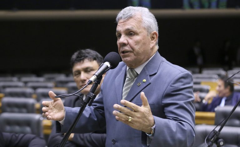 Comissão aprova regras para criação doméstica e comercialização de aves nativas ou exóticas – Notícias