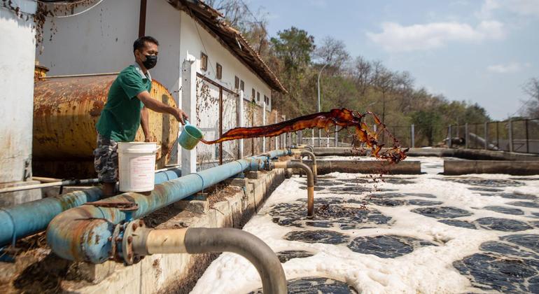 ONU lembra que acesso a saneamento e água é questão de vida ou morte