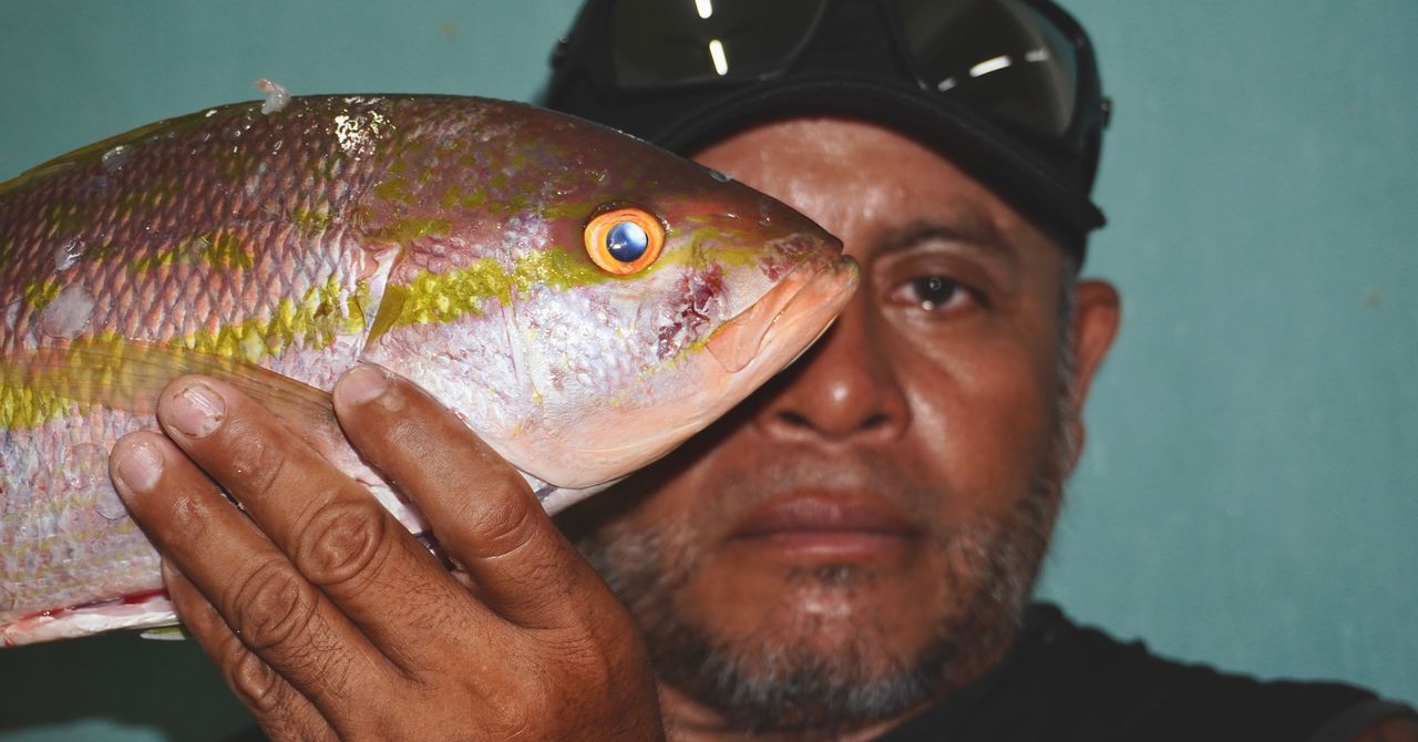 Na costa do Caribe do México, há lagosta para os turistas e microplásticos para todos os outros