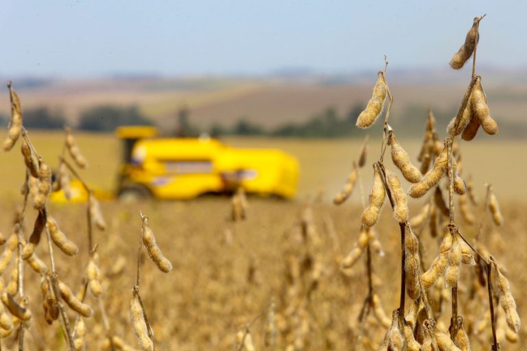 Balanço do semestre: aprovado uso do Fundo Social para ajudar agricultores atingidos por calamidades – Notícias