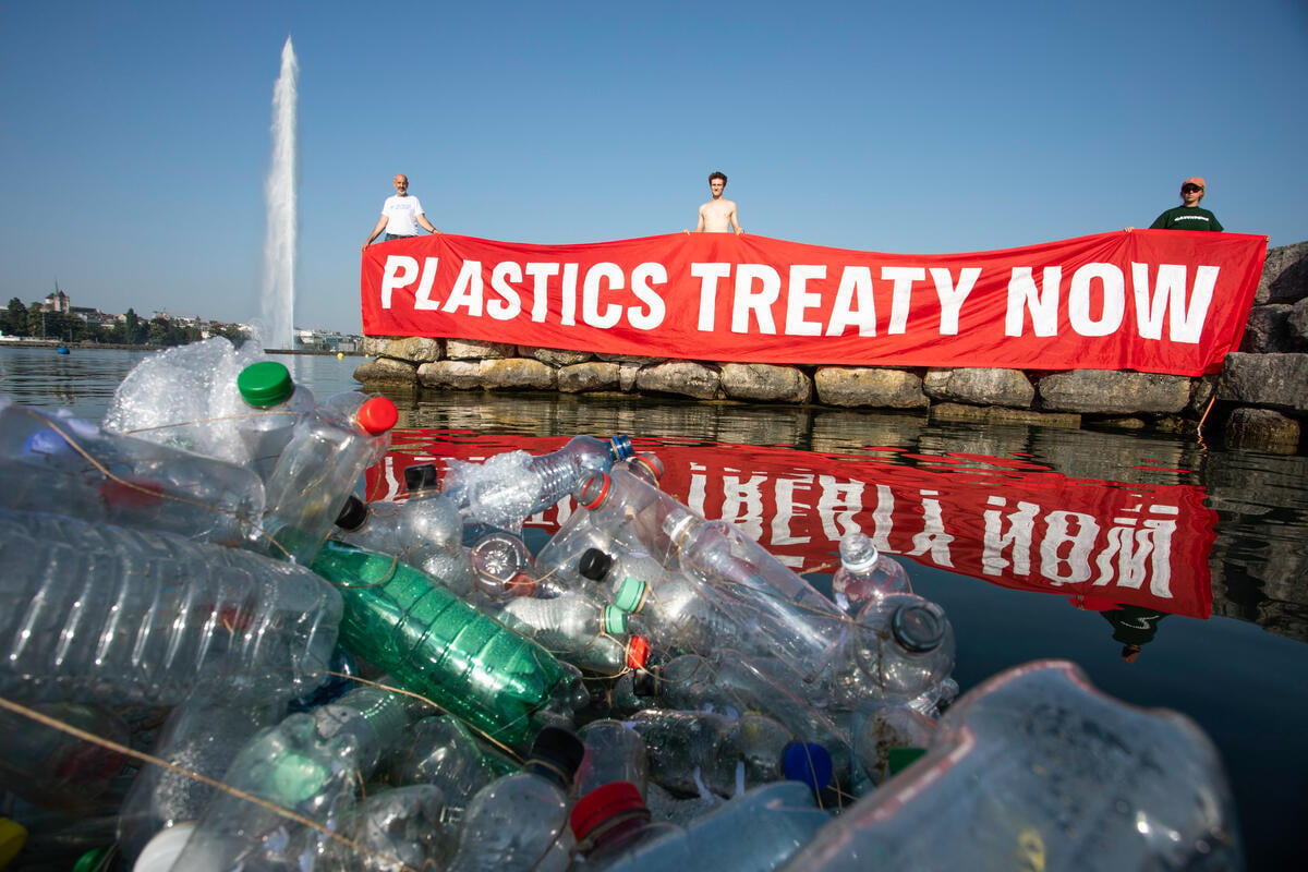 Inc 5.2: “A incapacidade de chegar a um acordo internacional em Genebra deve ser um alerta para o mundo”, Declaração do Greenpeace Canada