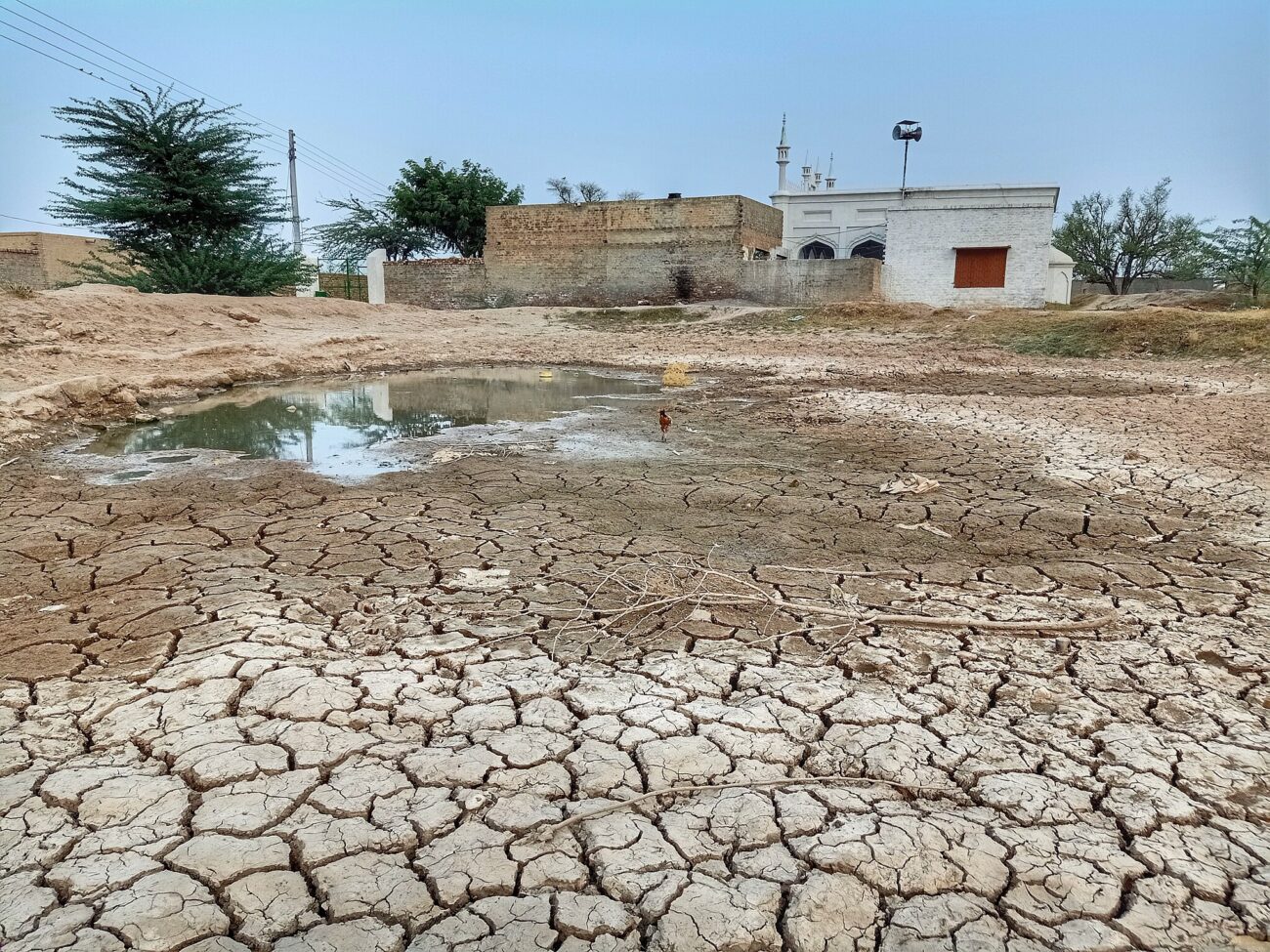 O aumento das tensões na Caxemira ameaçam a segurança da água para mais de 200 milhões de pessoas – estado do planeta