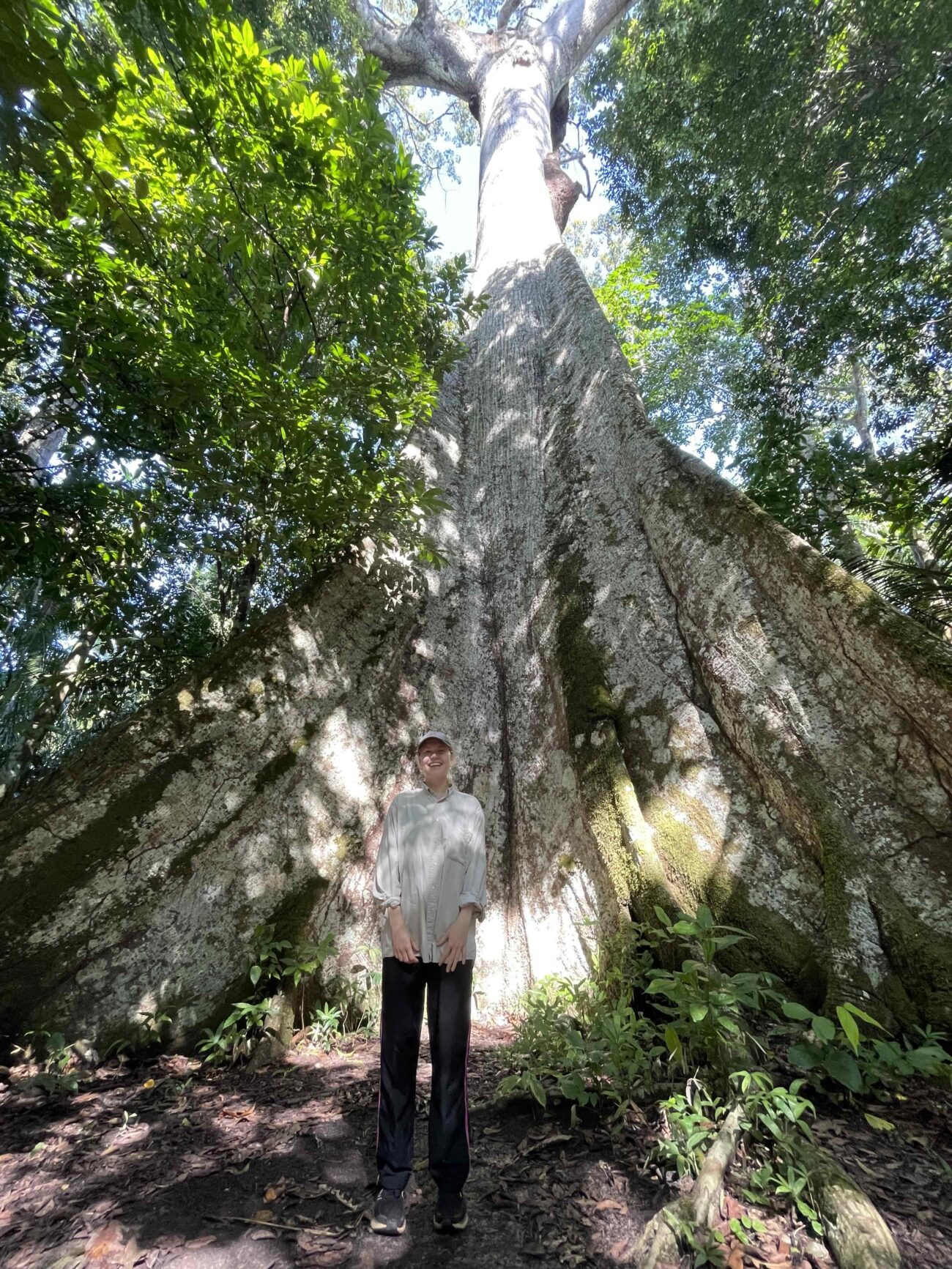 As florestas amazônicas queimadas ficam quentes e estressadas por décadas, encontra um novo estudo apoiado pela NASA-estado do planeta