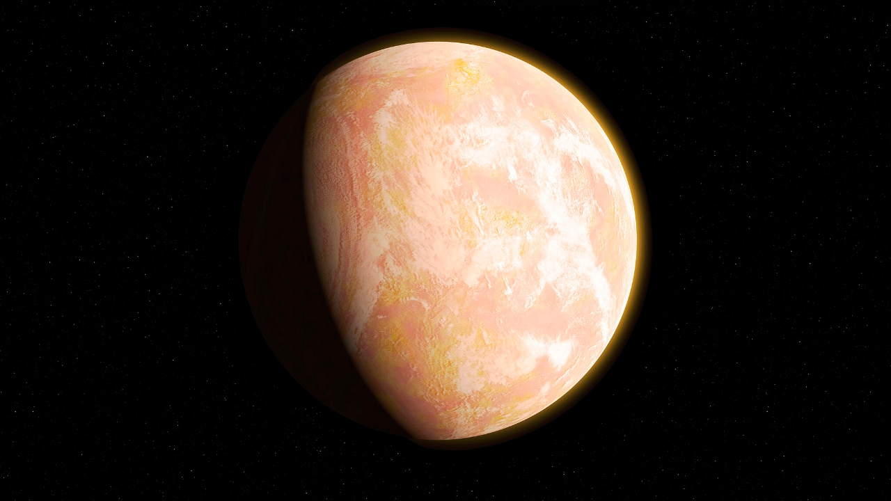 56 milhões de anos atrás, a Terra passou por um rápido aquecimento global. Aqui está o que fez com os polinizadores
