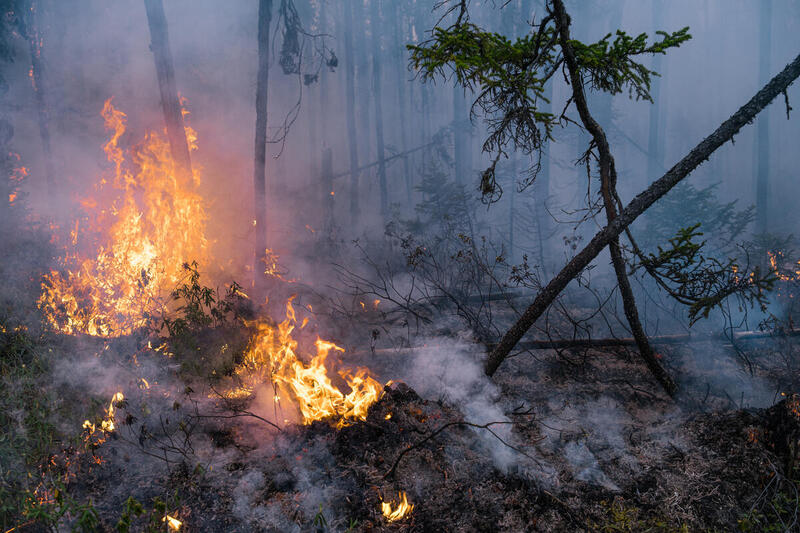 O novo relatório do Greenpeace Canada exige que o BC faça com que grandes poluidores paguem por desastres climáticos