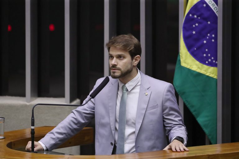 Comissão aprova pena maior para incêndio florestal que provocar morte de animais – Notícias