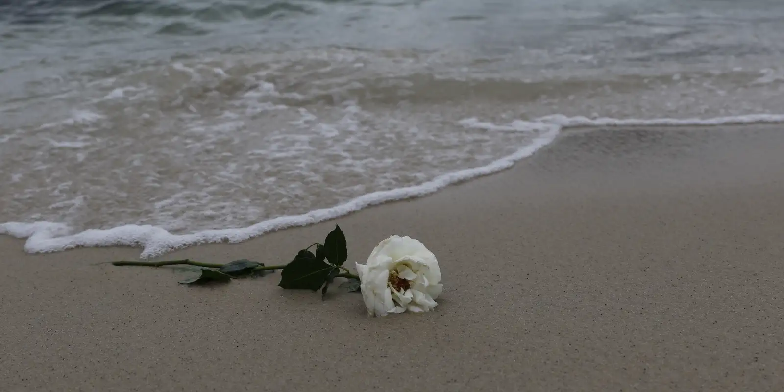 Fortaleza celebra Dia de Iemanjá com festejos pela cidade