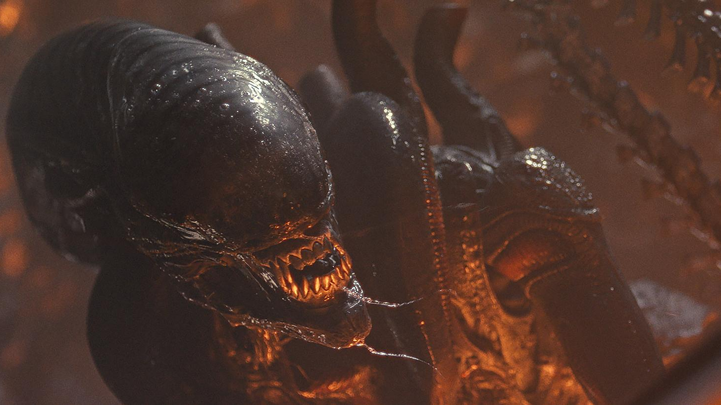Quão realista é o xenomorfo em ‘Alien: terra’? Perguntamos a um zoólogo como sua biologia e ciclo de vida se comparam a animais reais