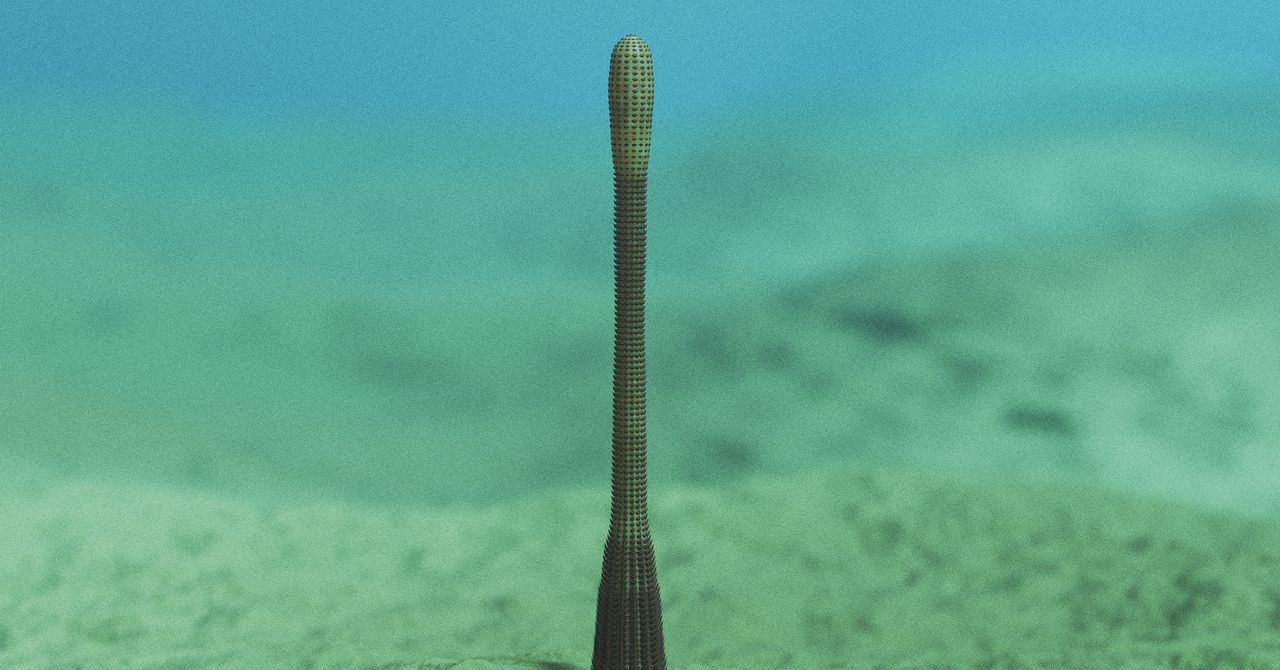 Um verme antigo do pênis com anéis de dentes afiados foi descoberto no Grand Canyon