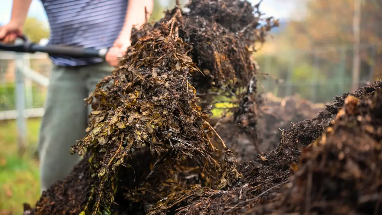Como acelerar seu composto: 5 recomendações